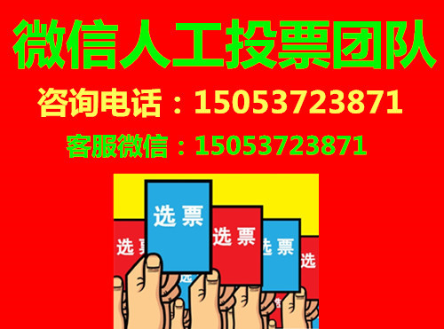 微信投票團(tuán)隊